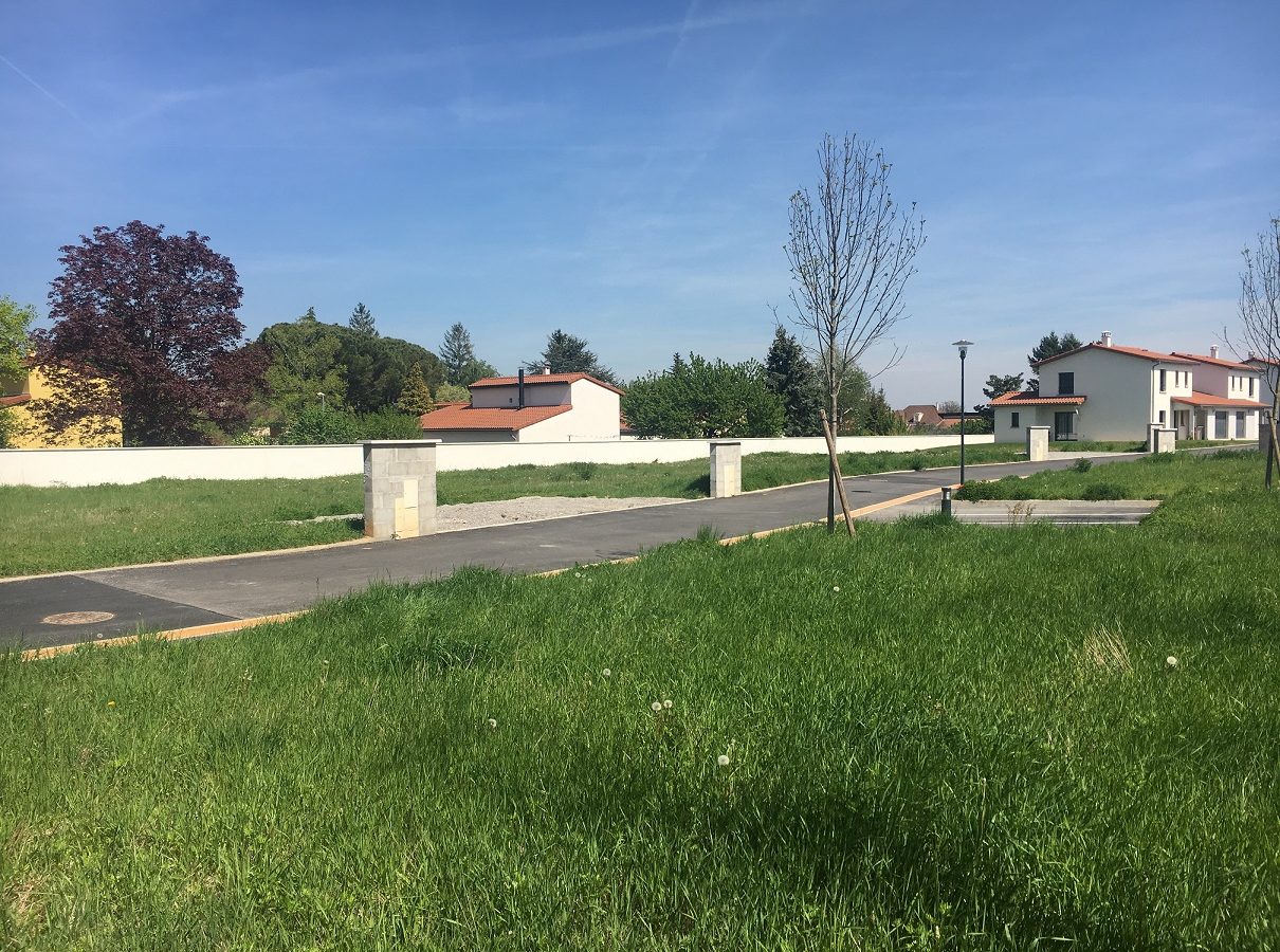 photo d'un terrain de lotissement
