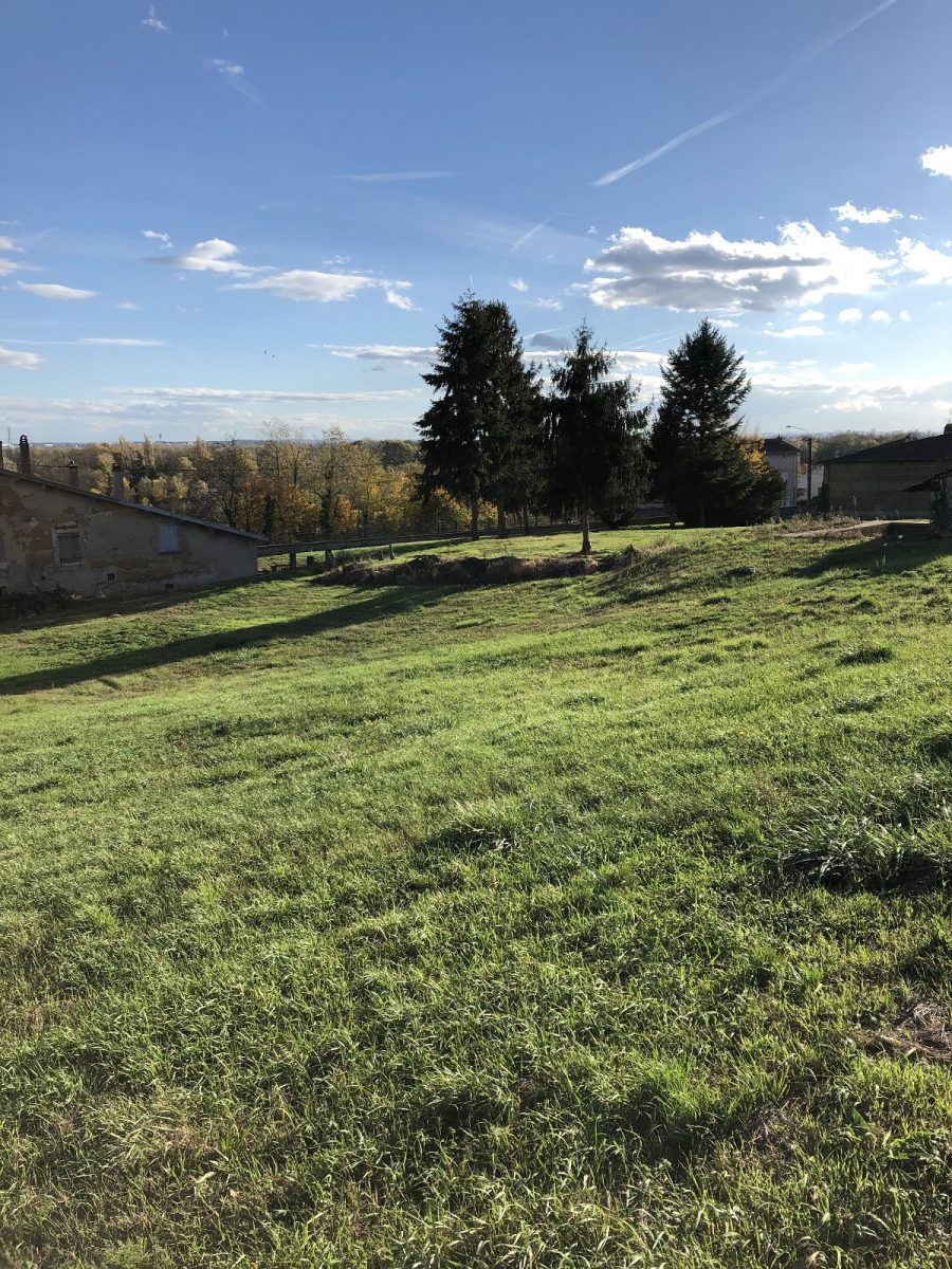 photo d'un Terrain à vendre à Neyron