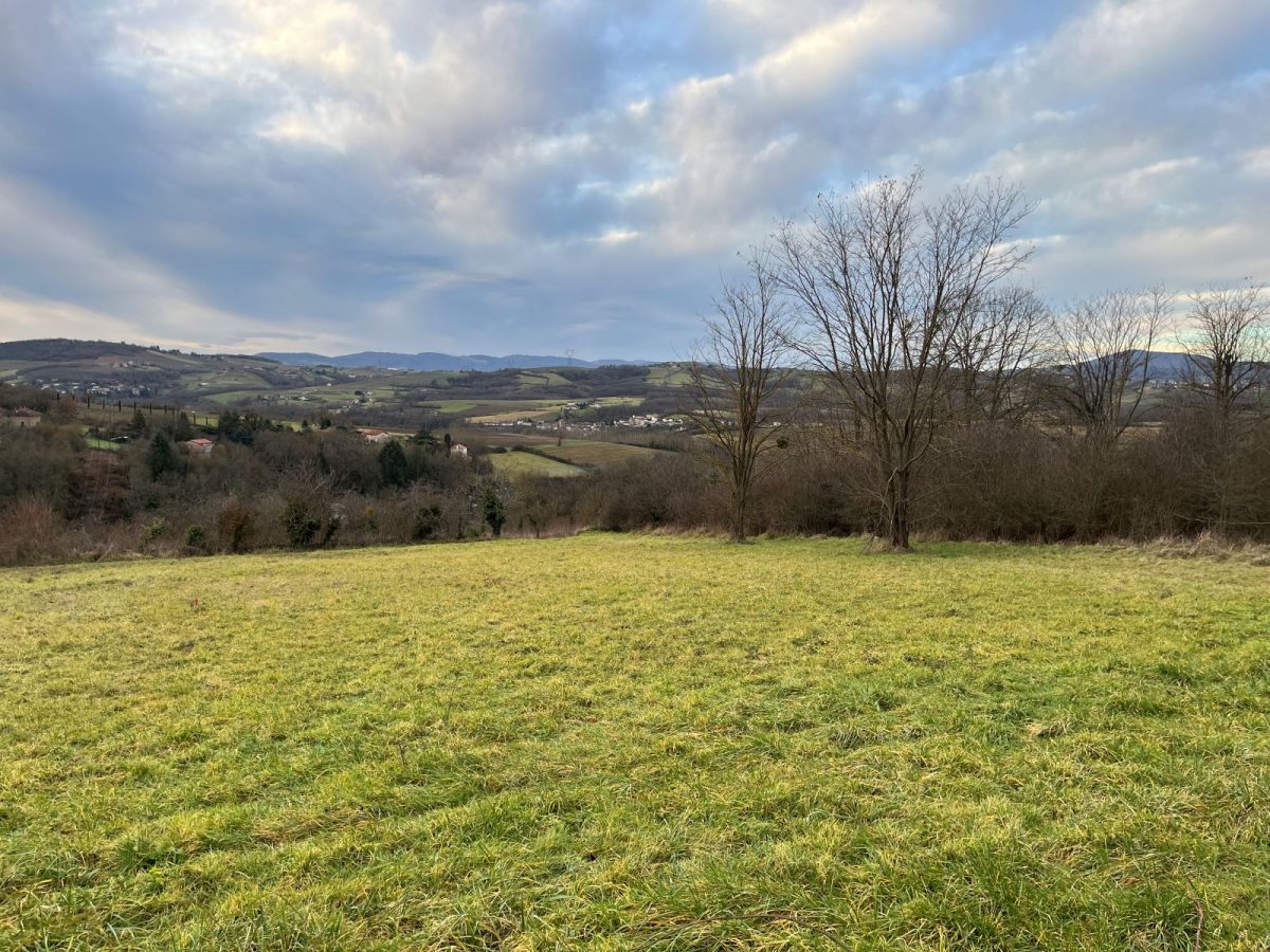 photo terrain val d'oingt