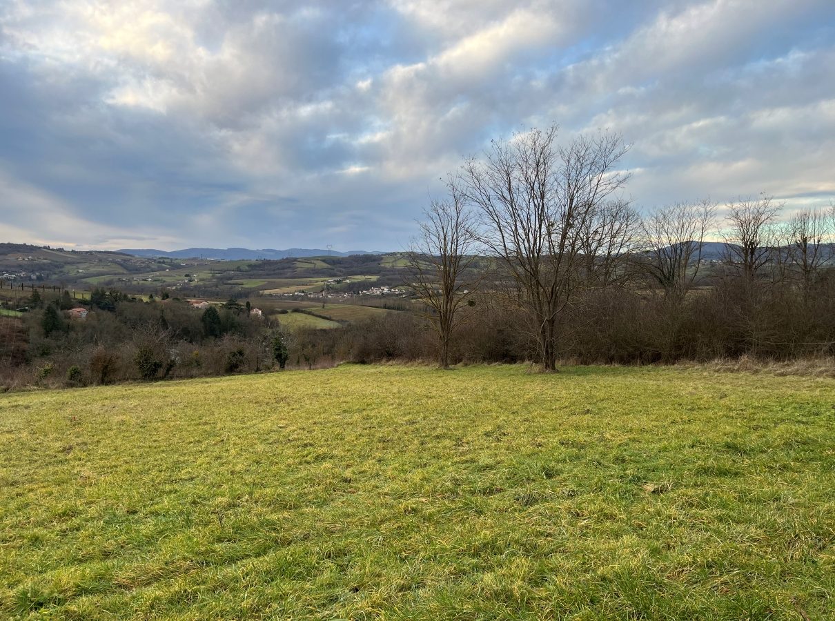 Vue d'un terrain à bâtir